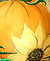 Click On Photo To See The Full Size Image