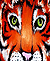 Click On Photo To See The Full Size Image