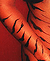 Click On Photo To See The Full Size Image