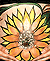 Click On Photo To See The Full Size Image